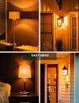 Amber Glow LED A19 Light Bulbs For Enclosed Fixtures 360-Degree Beam Angle E26
