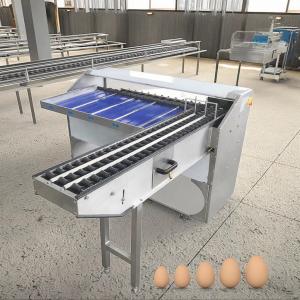 Egg Sorting Machine For Hatchery Eggs Sorting Machine With Stamping Egg Grading Machine For Sale