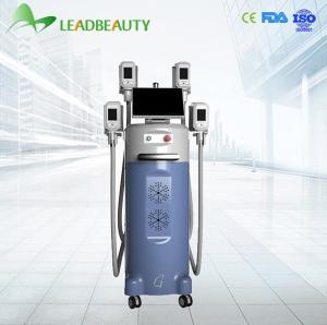 China fat removal cryolipolysis machine / cryolipolysis body shaping / lipo cryo cryolipolysis on sale