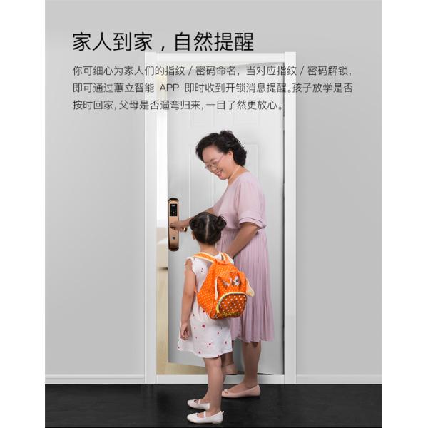 Fingerprint Intelligent door lock digital door lock keyless touch lock Biological fingerprint lock