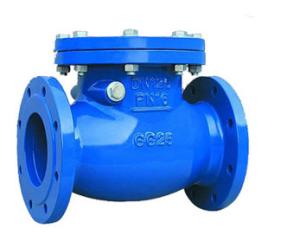 China Multi Single Disc Door Flanged PN10 Stainless Swing Check Valve on sale