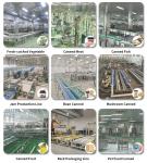 LWT Cucumber Slice Can specialized Precision Filling Machine with High