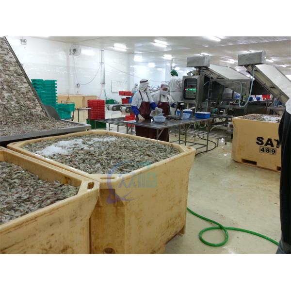 Multifunctional Shrimp Grading Machine Durable Stainless Steel