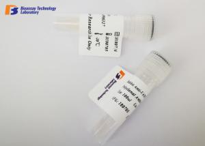 Highly Specific Mouse Source ING2 Rabbit Protein Monoclonal Antibody