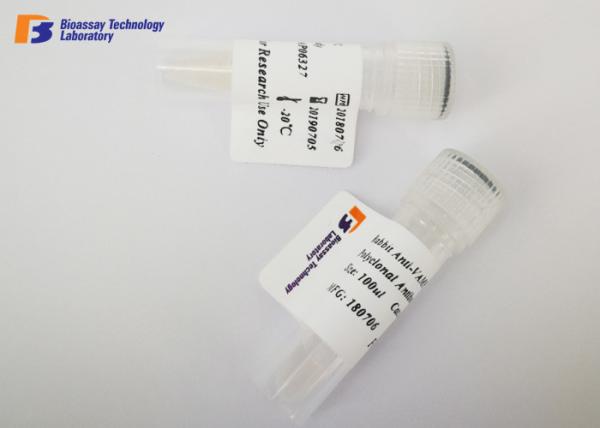 Quality Highly Specific Mouse Source ING2 Rabbit Protein Monoclonal Antibody for sale
