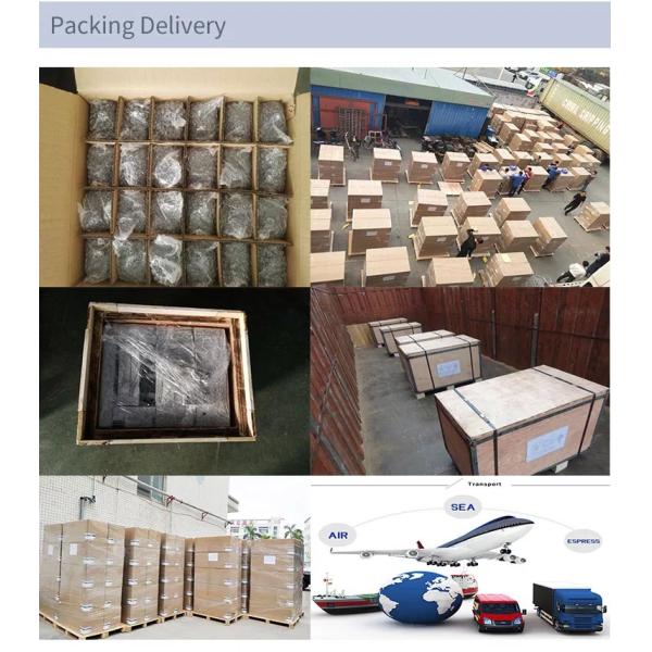 Electronic Plate Rapid Plastic Prototyping Reaction Injection Molding Auto Parts