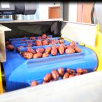 A Machine That Automatically Sorts Jujubes According To Their Size 8 Lanes Dates
