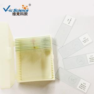 Buy cheap 25pcs Set School Education 1.2mm Prepared Microscope Slides product