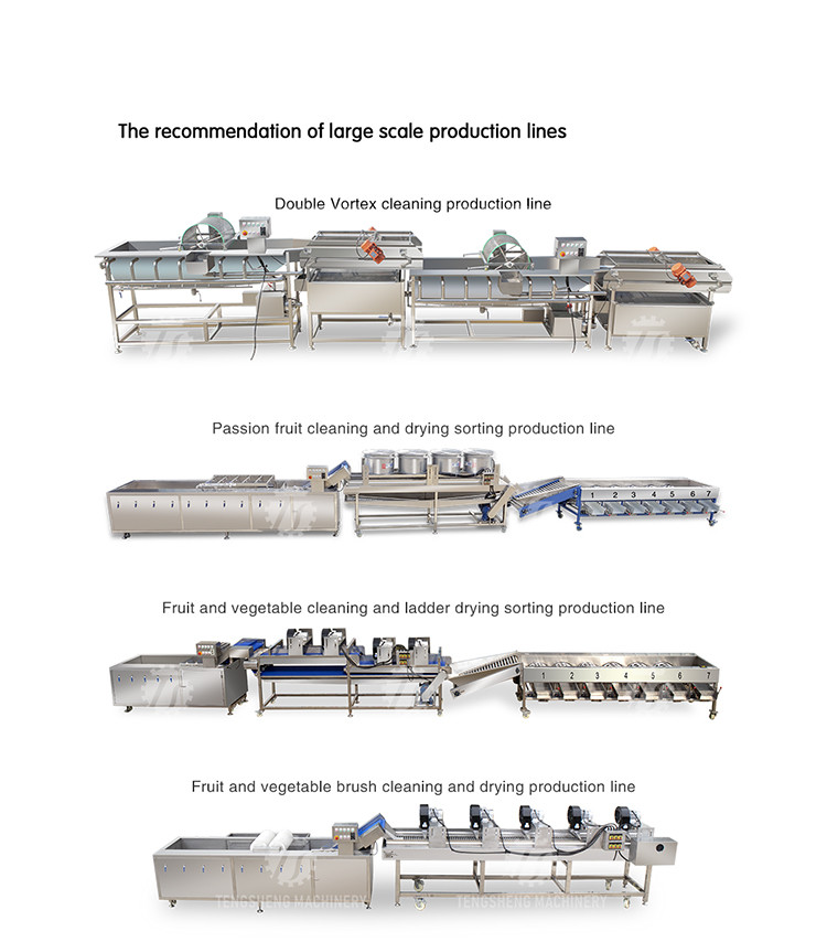 Industrial Automatic Leafy Vegetable And Fruit Lifting Sorting Table Machine