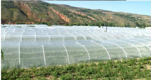 Buy cheap 25 * 50 Mesh Insect Protection Netting High Tensile Strength For Pest Control product