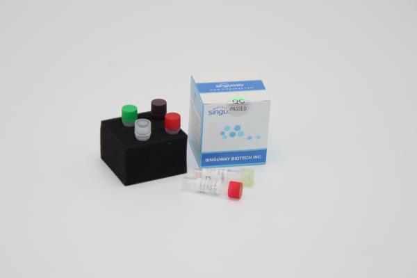 Quality Ultrafast Rabies Virus DNA PCR Detection Kit Reagents Required For PCR for sale