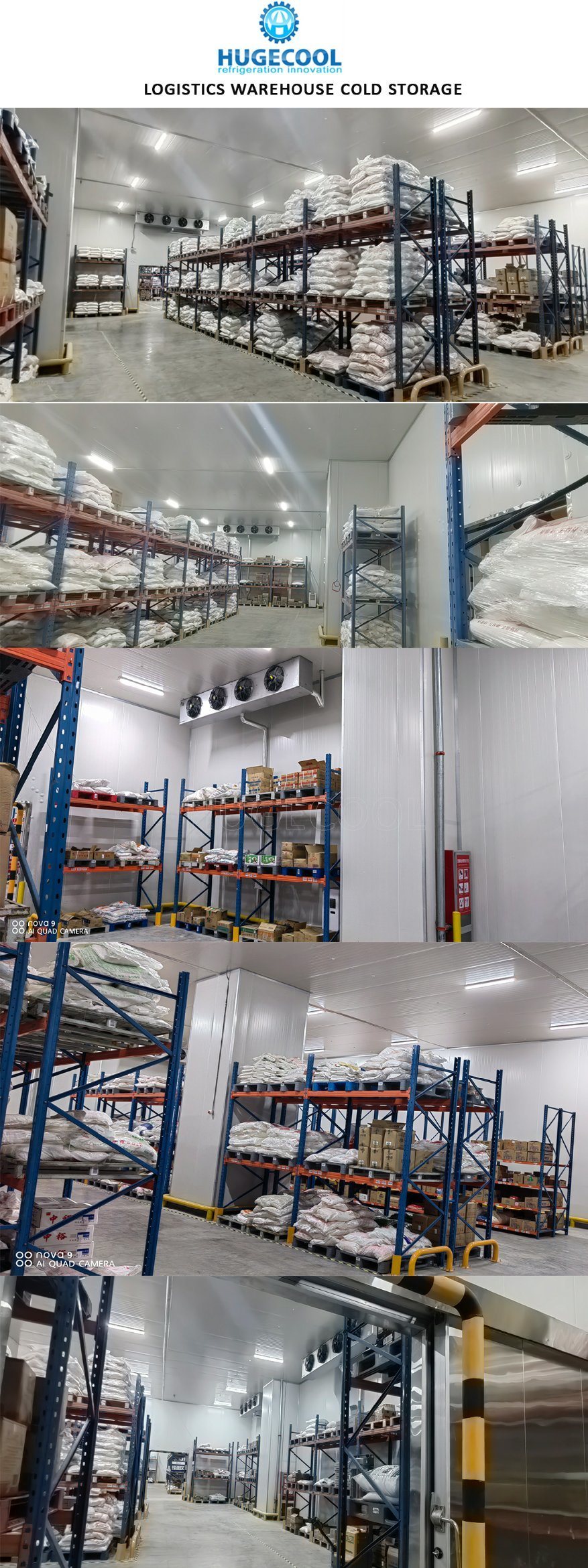 Beef Slaughter Plant Cold Storage Blast Freezer with Stainless Steel Panel