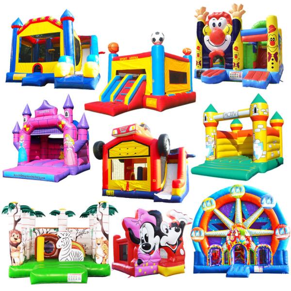 0.55mm PVC Inflatable Bouncer Castle Flying Fish Double Slide Bounce House Rentals