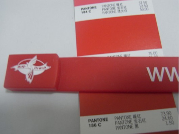 Red / Green USB Memory Stick High Speed Compact Silicone Bracelet Style