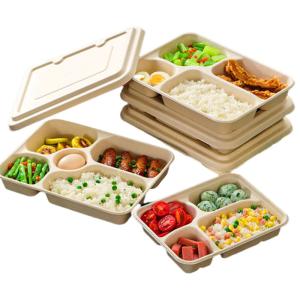 Eco-friendly customized takeaway lunch box biodegradable sugarcane bagasse