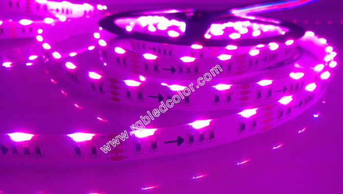 side rgb emitting full color led strip 60led per m 020 smd led strip tape