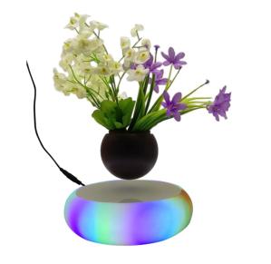China led light magnetic floating levitating air bonsai tree plant Floating Pot on sale