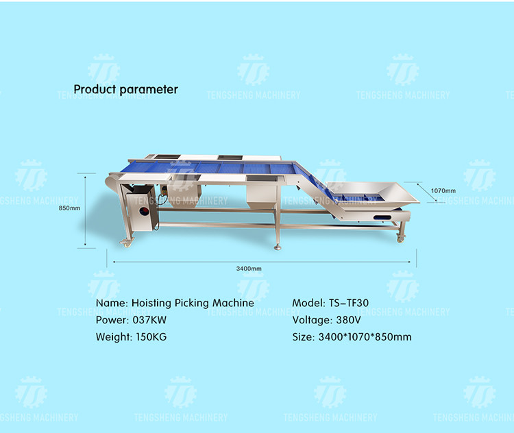 Industrial Automatic Leafy Vegetable And Fruit Lifting Sorting Table Machine