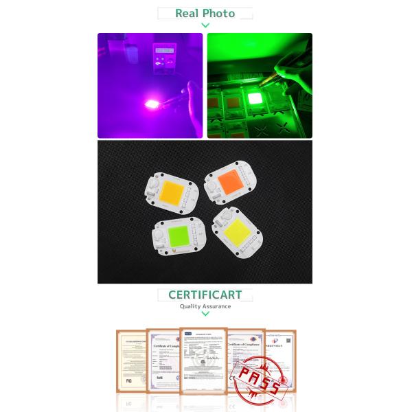 Driverless 50w Led Module