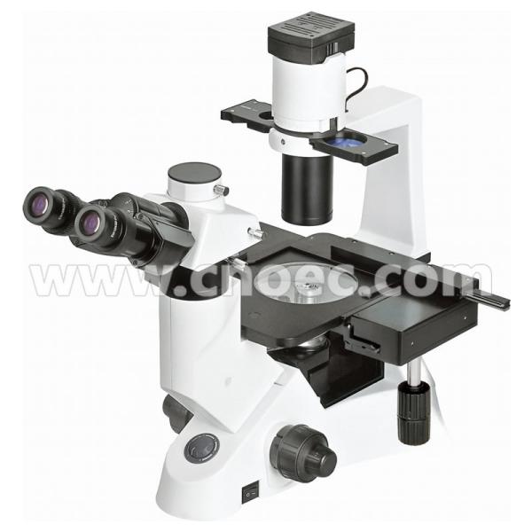 Quality Halogen Lamp 40X Inverted Optical Microscope Infinity Plan A14.1021 for sale