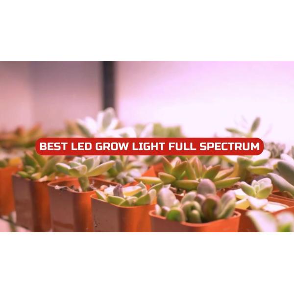 Horticulture Full Spectrum LED Grow Lights , Vertical Gardening LED Lights Energy Saving