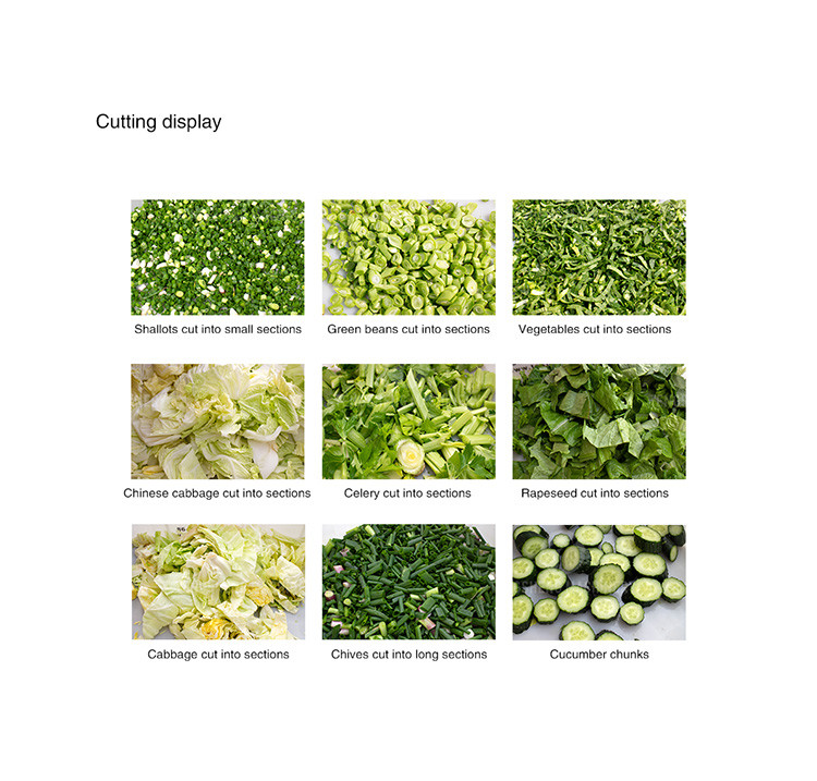 Celery Chinese Cabbage Vegetable Processing Machine Single Head Tengsheng
