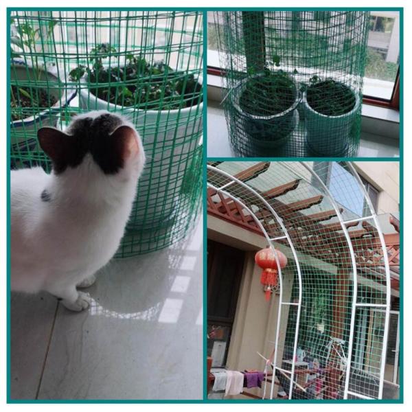 Hot Selling Cheap Custom 4x4 Pvc Wire Mesh Pvc Wire Mesh For Garden Fence Product Weld Mesh Fence Panels