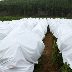 China 100% Polypropylene Agriculture Greenhouse Anti Insect Net Non Woven Fabric on sale