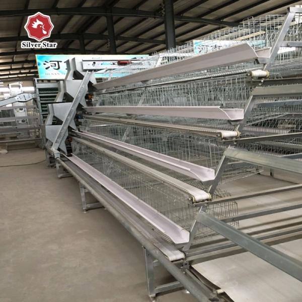 Quality Ventilational Automatic Layer Cage System , 4 Tier 120 Birds Chicken Battery Cages for sale