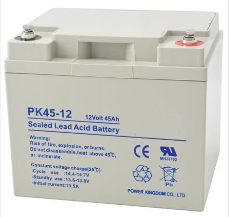 Quality Deep Cycle Sealed Lead Acid Battery12v - 45ah  13.8kg Full Charged Battery for sale