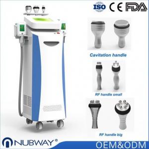 China Vacuum 10.4 Inch Cryolipolysis Slimming Machine For Beautician And Skin Doctors on sale