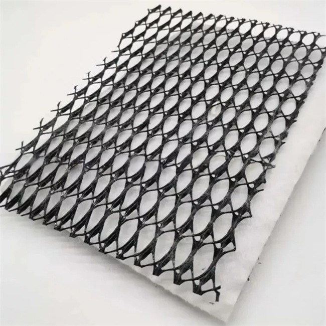 density Polyethylene Plastic Geotextile and Geonet 3D Composite Drainage Net Ideal