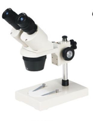 Quality Fixed Magnification Stereo Microscope XTX-204A for sale