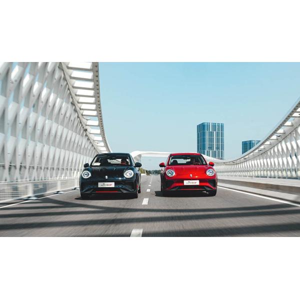 Speed 160km/H 480km Great Wall Ora Good Cat Gt Electric Car Mini Electric Vehicles