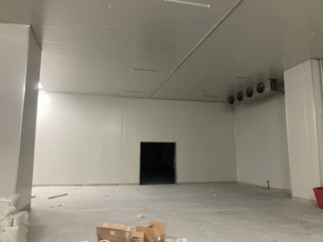 Professional Manufacturer Container Cold Room Cold Storage for Frozen Food Meat