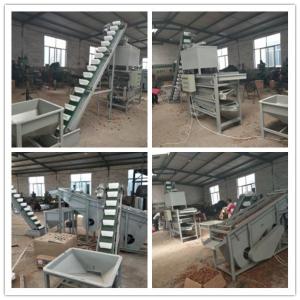 China walnut processing line, walnut shelling machine, walnut cracker on sale