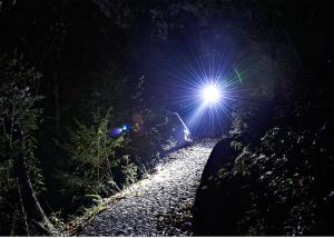 XML T6 Ultra Brightest Mini Led Flashlight 130mm Length 5 Light Modes