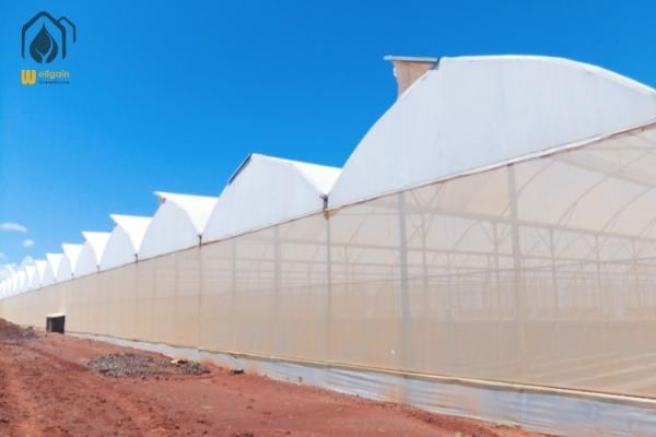 Quality Energy Efficient Tropical Multispan Greenhouse With Temperature And Humidity Regulation for sale