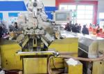 High Advanced Fully Automatic Veggie Soft Gel Encapsulation Machine