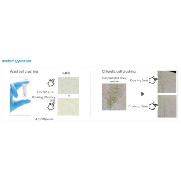 HM-MXP Vortex Cell Crusher Process Multiple Samples At Same Time