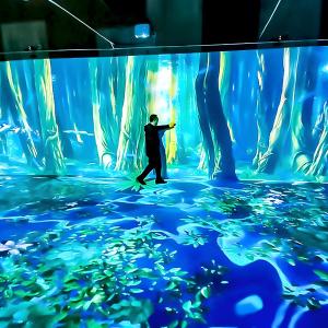 Northern Lights Immersive Room Projector 3200 Lumens Interactive Floor Projection