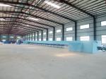 Continuous Automatic Low Pressure Foaming Production Line For Sofa Pillow Sponge