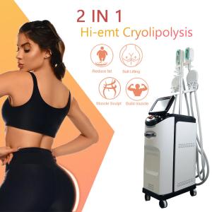 China Cryolipolyse EMS Machine 360 Cryo Fat Freezing Cellulite Removal on sale