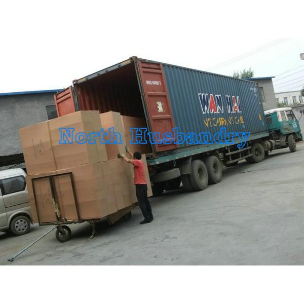 Thailand Bangkok Sell Poultry evaporative cooling pad cooling cellulose pad