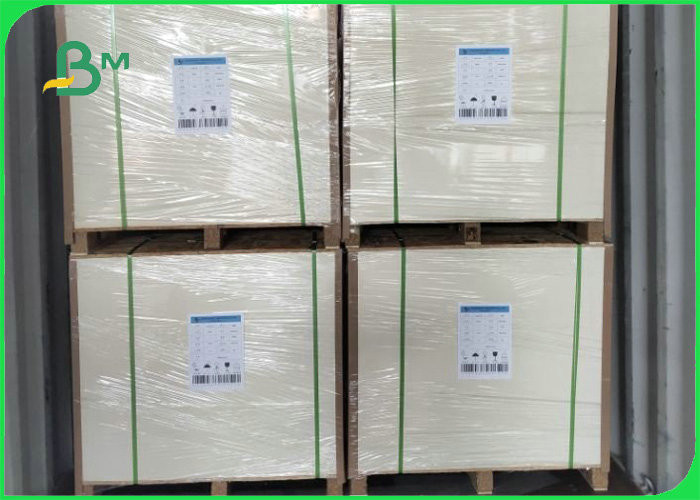 10G PE Coated 80G White Kraft Paper Coils For Making Disposable Takeaway Bag