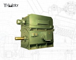 YPKK Cage Inverter Three Phase Asynchronous Motor 3000RPM IP55 6000KW