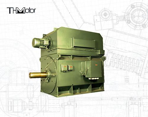 Quality YPKK Cage Inverter Three Phase Asynchronous Motor 3000RPM IP55 6000KW for sale