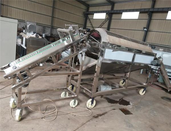 Quality fresh cocoa pod removing machine, cocoa bean collecting machine for sale