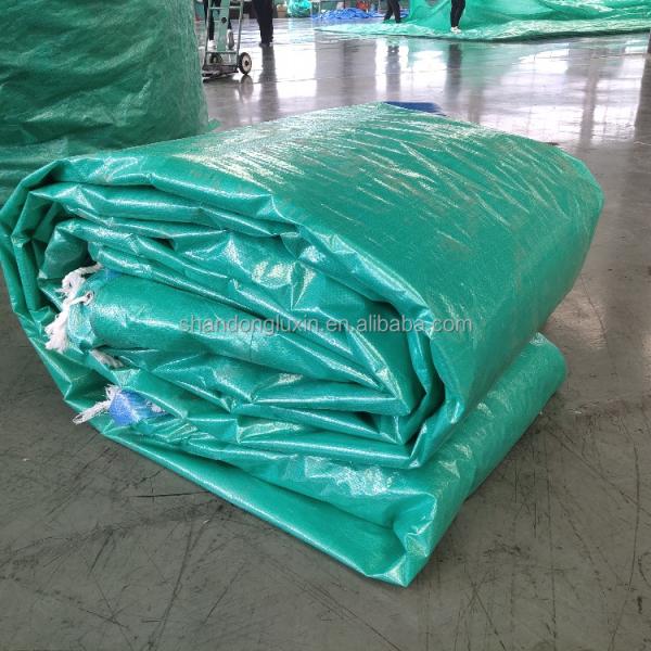 UV Protected Plastic Fabric Sheet for Agriculture/Industrial Cover in Standard Size
