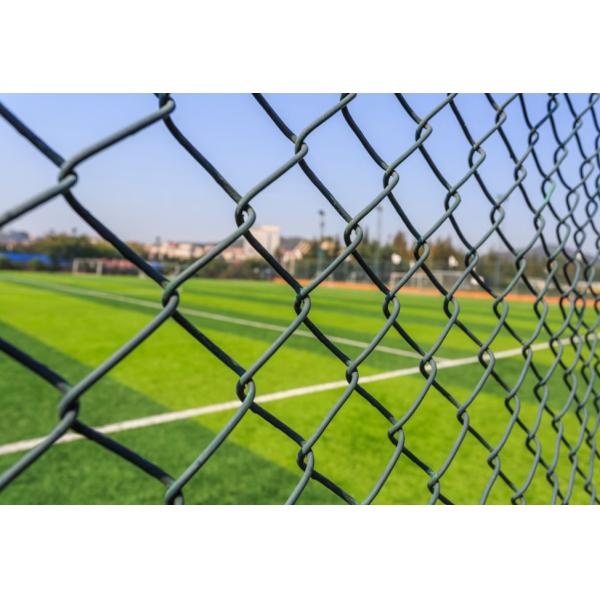 New Design Electro Galvanized Wire Mesh Anti-rust Chain Link Fence Hook Flower netting For Playground Gate